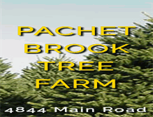 Tablet Screenshot of pachetbrook.com